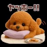 【3D】毎日使える挨拶♡トイプードル