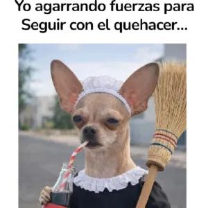 Yo agarrando fuerzas para Seguir con el quehacer... - getsticker.com