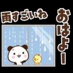 パンダ＆ひよこ 梅雨・夏