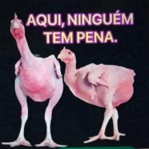AQUI, NINGUÉM TEM PENA. - getsticker.com