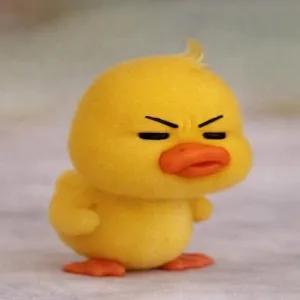 IjRMRJ
