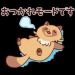 imananishiteru tanuki