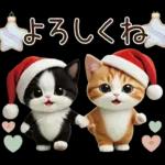 可愛いハチワレ猫 サンタ帽 冬 気づかい