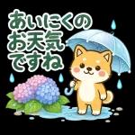 スタンプ・しば犬の梅雨だより