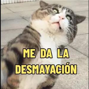 ME DA LA DESMAYACIÓN - getsticker.com