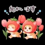 毎日使える 茶トラねこ 春 日常 いちご帽子