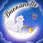 Buona Notte