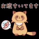 imananishiteru tanuki