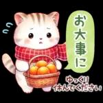 猫のつめあわせ【冬】