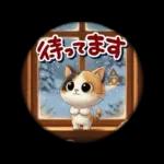 三毛猫の冬のあいさつ