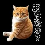 生成失敗猫【毒舌・煽り・煽る・シュール】