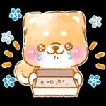 和菓子で敬語❤️いやしばいぬ❤️柴犬