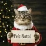 catnatal