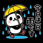 ぶなんなパンダ／お天気