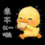 陰陽怪氣的小鴨鴨