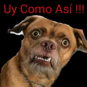 Uy Como Así !!! - getsticker.com
