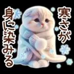 冬の猫のスコティッシュ【よく使う言葉】