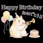 ゴールデンハムスター♡キンクマ