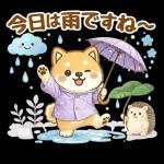 スタンプ・しば犬の梅雨だより