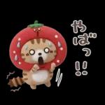 おひとよしネコチャン⭐️3Dフロッキー 1