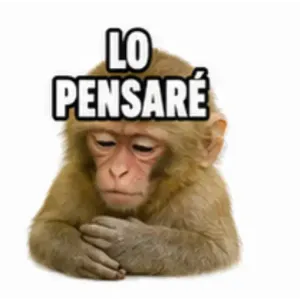 LO PENSARÉ - getsticker.com