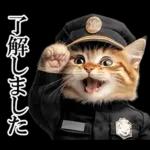 リアル猫警察官
