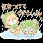 初夏❤️いやしばいぬ❤️16/柴犬