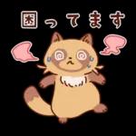 imananishiteru tanuki