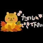 大人かわいい✳︎優しい秋色&気遣い