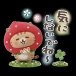 おひとよしネコチャン⭐️3Dフロッキー 1