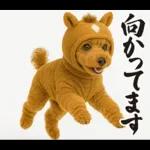 ウマの着ぐるみトイプードル【午年/2026】