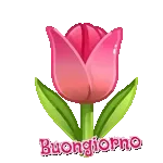 Buongiorno