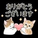 冬の毎日と年末年始☆猫たちのスタンプ