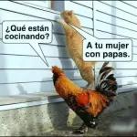 Bueno pero No te enojes
