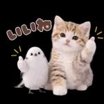 仲良し♡シマエナガと子猫ちゃん