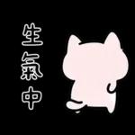 粉貓手機傳心意篇