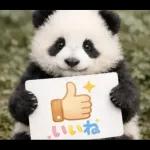 飛び出す♡まいにちパンダ