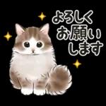 よろしくお願いします