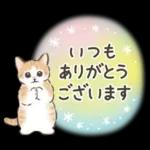 ふんわり可愛い☆猫たちのスタンプ