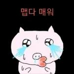 쩝쩝박사 꿀꾸리