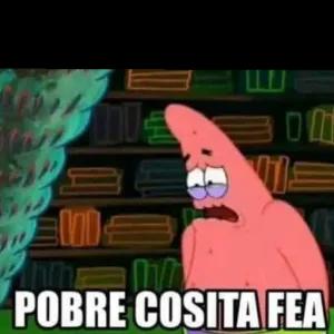 POBRE COSITA FEA - getsticker.com