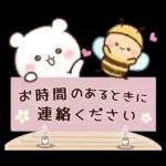 チロクマとアイビー　初夏