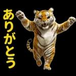 大阪神戸の野球好き虎ファン向け5とらほー