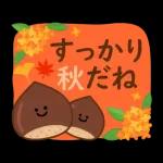 動く大人のマナー日常(秋)