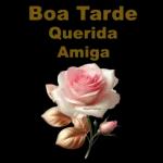 Adesivos de bênção