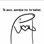 ¡ Buenas Noches !