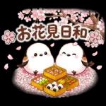 春のシマエナガ♪