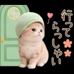 ずっと使える メロン帽が可愛い 猫とウサギ