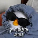 뭐 되는 베베와 멜롱이 짤.zip2