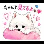 夏ギャルなサモエドスタンプ